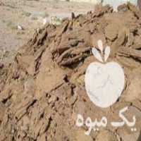 فروش کود گاو و گوسفند در اصفهان در گروه خرید فروش کود و مواد شیمیایی - اوره پتاس مرغی کمپوست آهن در یکمیوه