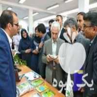 فروش مایکود کودزیستی مایکوریزا در تهران در گروه خرید فروش عمده قارچ - دکمه ای خوراکی دارویی پرورشی کوهی در یکمیوه