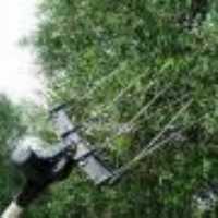 فروش دستگاه بادام و زیتون چین سیارلار ماکو در آذربایجان غربی در گروه بادام - درختی کوهی زمینی فروش عمده در یکمیوه