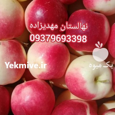 آگهی مشابه خریدنهال درمیاندواب 09379693398 در صومعه سرا در گروه خرید فروش نهال - انواع گردو پسته بادام سلطانی انگور در یکمیوه