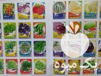 فروش بذر سبزیجات ، صیفی جات ، گل ها و گیاهان دارویی در مشهد در گروه خرید فروش عمده گیاهان زینتی - گرمسیری آپارتمانی باغچه آب در یکمیوه -عکس1