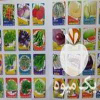 فروش بذر سبزیجات ، صیفی جات ، گل ها و گیاهان دارویی در مشهد در گروه خرید فروش عمده گیاهان زینتی - گرمسیری آپارتمانی باغچه آب در یکمیوه