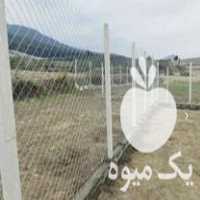 فروش پایه فنس بتنی برای محصور کردن دور باغ و استخر در ساری در گروه خرید فروش عمده کیوی - صادراتی مازندران تنکابن تالش در یکمیوه