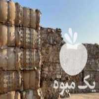 فروش ضایعات کارتن کتاب اهن الات سبد نایلون سفید در کرمانشاه در گروه خرید فروش انواع سبد - میوه پلاستیکی چوبی گل در یکمیوه