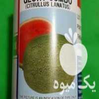 فروش انواع بذر هندوانه و خربزه با قیمت مناسب در گلستان در گروه خرید فروش بذر - انواع محصول کشاورزی گوجه کتان میوه درخت در یکمیوه