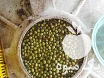 فروش کنسرو زیتون در تهران در گروه انواع محصولات کنسروی - فروش عمده فرآوری کشاورزی در یکمیوه -عکس1