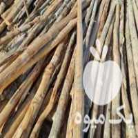 خریدار چوب ذغالی وسالم با بالا ترین قیمت در پیشوا در گروه خرید فروش عمده چوب- زغال چوب گردو تبریزی خام در یکمیوه