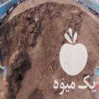 فروش کود گاوی و گوسفندی خالص در کرج در گروه خرید فروش کود و مواد شیمیایی - اوره پتاس مرغی کمپوست آهن در یکمیوه