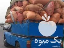 فروش پوست بادام در آستانه اشرفیه در گروه بادام - درختی کوهی زمینی فروش عمده در یکمیوه -عکس1