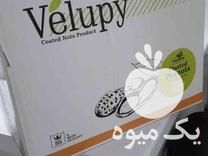 فروش نمایندگی شرکت ولوپی بادام زمینی دوکش دار در استان سمنان در گروه بادام - درختی کوهی زمینی فروش عمده در یکمیوه -عکس1