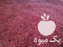 فروش 20 تن فلفل قرمز تند در فیروزآباد در گروه خرید فروش عمده فلفل - دلمه سبز رنگی پاریریکا هالوپینو کاین در یکمیوه -عکس1