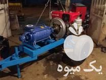 فروش چانگفاومارگو اصلی در دیواندره در گروه اسب و الاغ خر و فروش قاطر- ترکمن عربی سفید نر و ماده در یکمیوه -عکس1