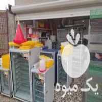 فروش تجهیزات مرغداری قفس و دستگاه جوجه کشی و  در ساری در گروه تجهیزات دام و طیور - خرید فروش نو دسته دوم در یکمیوه