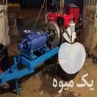 فروش چانگفاومارگو اصلی در دیواندره در گروه اسب و الاغ خر و فروش قاطر- ترکمن عربی سفید نر و ماده در یکمیوه