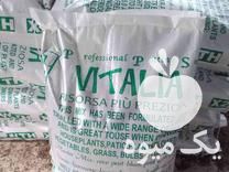 فروش خاک گلدان و سینی نشاء در عباس آباد در گروه خرید فروش نشا - انواع گوجه برنج کاهو پیاز کاری فرنگی در یکمیوه -عکس1