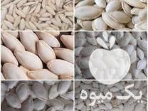 فروش بذرمادرانواع تخمه آفتابگردان وانواع تخمه کدو در چلگرد در گروه خرید فروش عمده آفتابگردان - تخمه خوی دیم گل در یکمیوه -عکس1