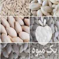 فروش بذرمادرانواع تخمه آفتابگردان وانواع تخمه کدو در چلگرد در گروه خرید فروش عمده آفتابگردان - تخمه خوی دیم گل در یکمیوه