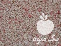 فروش بذر گلرنگ کافشه شبه زعفران در الیگودرز در گروه خرید فروش بذر - انواع محصول کشاورزی گوجه کتان میوه درخت در یکمیوه -عکس1