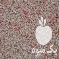 فروش بذر گلرنگ کافشه شبه زعفران در الیگودرز در گروه خرید فروش بذر - انواع محصول کشاورزی گوجه کتان میوه درخت در یکمیوه