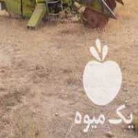 فروش کمباین زیربندی کلاس 76 در فامنین در گروه خرید فروش ماشین آلات کشاورزی - تراکتور تیلر کمباین مدرن در یکمیوه