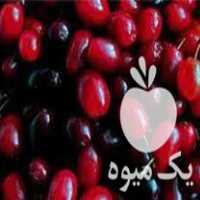 فروش نهال انار و زغال اخته و زرشک در آمل در گروه خرید فروش نهال - انواع گردو پسته بادام سلطانی انگور در یکمیوه