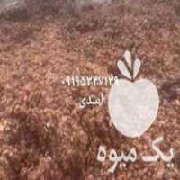 فروش خوراک دام و طیور ضایعات تر خرما در ساوه در گروه خوراک دام و طیور - پرواری شیری علوفه یونجه در یکمیوه