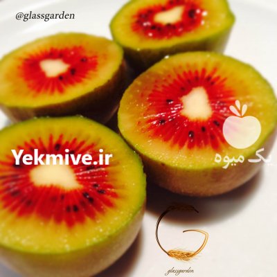 آگهی مشابه فروش نهال کیوی 09149805679 در احمدسرگوراب در گروه خرید فروش نهال - انواع گردو پسته بادام سلطانی انگور در یکمیوه