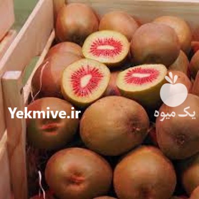 آگهی مشابه پرورش فروش انواع نهال 09149805679 در املش در گروه خرید فروش نهال - انواع گردو پسته بادام سلطانی انگور در یکمیوه