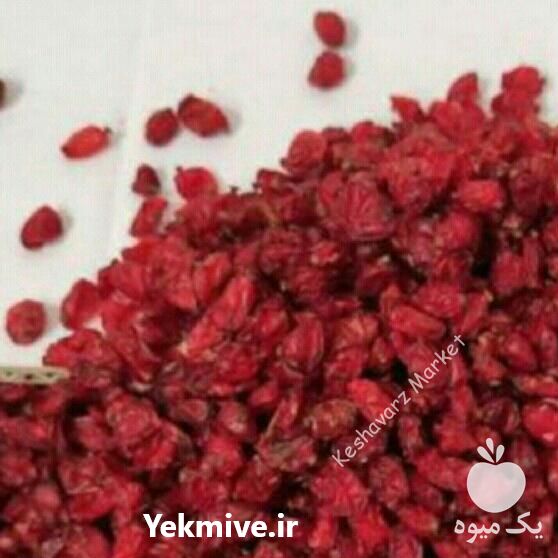 فروش زرشک دانه اناری ممتاز فاخر خراسان در بیرجند در گروه خرید فروش عمده ازگیل و تمشک و زرشک - ژاپنی فروش مستقیم در یکمیوه -عکس1