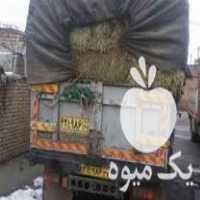 فروش خوراک دام وطیور در تهران در گروه خوراک دام و طیور - پرواری شیری علوفه یونجه در یکمیوه