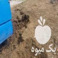 فروش کود حیوانی گاوی وگوسفندی خشک پوسیده در صومعه سرا در گروه خرید فروش کود و مواد شیمیایی - اوره پتاس مرغی کمپوست آهن در یکمیوه