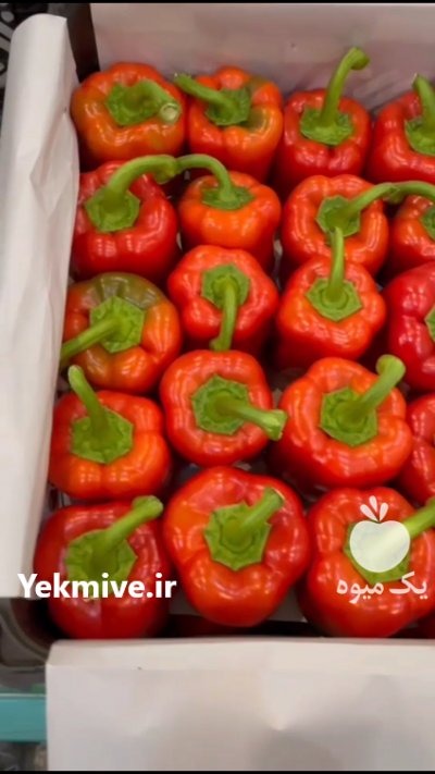 فلفل دلمه رنگی در اصفهان در گروه خرید فروش عمده فلفل - دلمه سبز رنگی پاریریکا هالوپینو کاین در یکمیوه