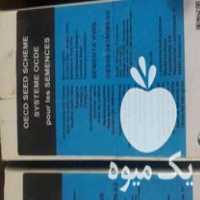 فروش بذرچغندر قند در تربت جام در گروه خرید فروش بذر - انواع محصول کشاورزی گوجه کتان میوه درخت در یکمیوه