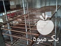 فروش قفسه پرورش قارچ در میاندوآب در گروه خوراک دام و طیور - پرواری شیری علوفه یونجه در یکمیوه -عکس1