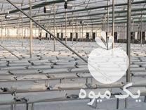 فروش طراحی و ساخت سازه گلخانه در تنکابن در گروه سازنده - گلخانه باغ مدرن سالن صنعتی سوله انبار در یکمیوه -عکس1