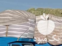 خرید و فروش علوفه دام در اصفهان در گروه خرید فروش عمده سیب زمینی - زودرس دیررس آگریا اسپریت اردبیل همدان در یکمیوه -عکس1