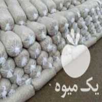 فروش تفاله چغندر درجه 1 بسته بندی شده ، علوفه ذرت فله و بسته بندی در مرند در گروه خوراک دام و طیور - پرواری شیری علوفه یونجه در یکمیوه