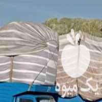 خرید و فروش علوفه دام در اصفهان در گروه خرید فروش عمده سیب زمینی - زودرس دیررس آگریا اسپریت اردبیل همدان در یکمیوه