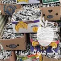 فروش پخش زغال پسته سیاه و سفید در زیباشهر در گروه خرید فروش عمده چوب- زغال چوب گردو تبریزی خام در یکمیوه