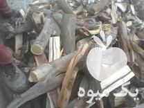 فروش هیزم ریز شده در سمنان در گروه خرید فروش عمده گیلاس - تکدانه شیرین ترش رنگی خوشه سیاه در یکمیوه -عکس1