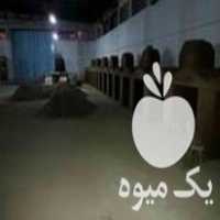 فروش سازنده دستگاه زغال و کوره صنعتی در صالح آباد در گروه خرید فروش عمده چوب- زغال چوب گردو تبریزی خام در یکمیوه