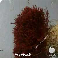 فروش زعفران دسته یا دختر پیچ اعلا بیرجند در خراسان جنوبی در گروه خرید فروش عمده زعفران - قائنات قیمت خراسان بهرامن گرم در یکمیوه