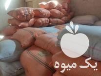 فروش کاه گندم اماده در خرمدره در گروه خوراک دام و طیور - پرواری شیری علوفه یونجه در یکمیوه -عکس1