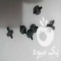 فروش قطره چکان نتافیم در کرمان  در گروه خرید فروش سایر محصولات تجهیزات کشاورزی در یکمیوه