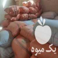 فروش کاه گندم اماده در خرمدره در گروه خوراک دام و طیور - پرواری شیری علوفه یونجه در یکمیوه