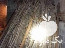 فروش هاچه 3 الی4 برای باغ سیب در مهاباد در گروه خرید فروش عمده سیب - زرد و قرمز گلاب پاییزه در یکمیوه -عکس1