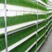 فروش ساخت تولید اجرای سیستم تولید علوفه خوراک دام هیدروپونیک در تهران در گروه خوراک شیلات و آبزیان - ماهی گیلان خوزستان چابهار بوشهر در یکمیوه