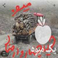 خرید چنار وانواع درختان میوه وضایعات چوب در دیواندره در گروه خرید فروش عمده چوب- زغال چوب گردو تبریزی خام در یکمیوه