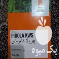 فروش بذر چغندر خارجی در کرمانشاه در گروه خرید فروش بذر - انواع محصول کشاورزی گوجه کتان میوه درخت در یکمیوه