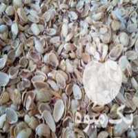 فروش پوست پسته بادام زردآلو گردو در رفسنجان در گروه بادام - درختی کوهی زمینی فروش عمده در یکمیوه